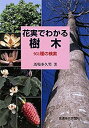 【中古】 花実でわかる樹木 951種の検索(3)