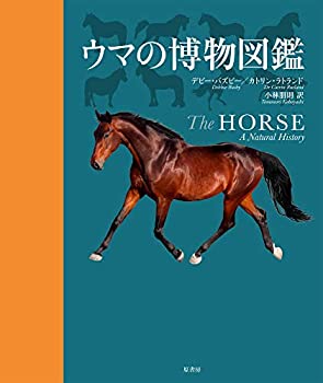 Other - 【中古】 ウマの博物図鑑