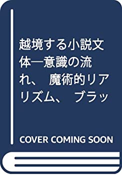 【中古】 越境する小説文体 意識の流れ 魔術的リアリズム ブラックユーモア (水声文庫)