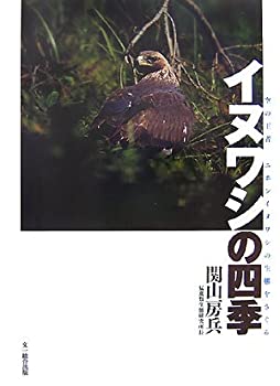 【中古】 イヌワシの四季 空の王者ニホンイヌワシの生態をさぐる