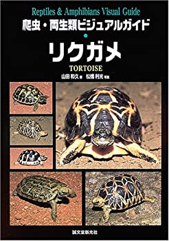 Other - 【中古】 爬虫・両生類ビジュアルガイド リクガメ