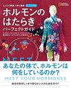 楽天バリューコネクト【中古】 とことん解説 人体と健康 ビジュアル ホルモンのはたらき パーフェクトガイド