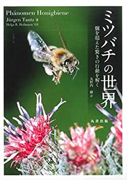 【中古】 ミツバチの世界 個を超えた驚きの行動を解く