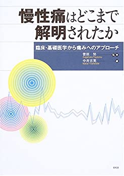 【中古】 慢性痛はどこまで解明されたか 臨床・基礎医学から痛みへのアプローチ
