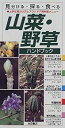 【中古】 山菜・野草ハンドブック 