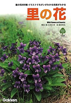 【中古】 里の花 里の花800種 イラストでちがいがわかる名前がわかる (自然発見ガイド)