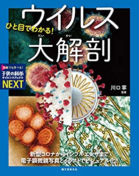 【中古】 ひと目でわかる! ウイルス