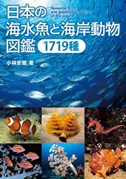 【中古】 日本の海水魚と海岸動物図鑑 1719種