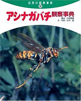 乐天商城 - 【中古】 アシナガバチ観察事典 (自然の観察事典)