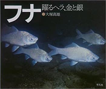 【中古】 フナ 躍るヘラ、金と銀