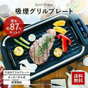 AZUMA EHP-CSL1 吸煙 グリル ホットプレート 焼肉 煙が出ない 余分な油を落とす 穴あき グリルプレート シロッコファン フッ素加工 ホームパーテ...