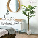 Eclia アーティシャルグリーン モンステラ フェイクグリーン CT触媒 抗菌 消臭 防汚 日本国内加工 かんたん 組立式 大型 大きい 造花 観葉植物 プレゼント お祝い 引越し 開業 インテリア エクリア Eclia KH-61392 (D1-10)