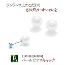 ピアス用キャッチ【パールピアスキャッチ】フックピアス スタッドピアス アメリカンピアス 対応 【パーツ】 シリコン 淡水パール レディース 金属アレルギー バッ...