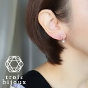 楽天trois bijoux トロワビジュー送料無料【金属アレルギー対応】ノンホールイヤリング K18コーティング バタフライ ジルコニア/ゴールド/シルバー/ピングゴールドおしゃれ シリコン樹脂 30代40代高見え シンプル コーディネート 入学式 卒園式 食事会 ドレスアップ ウエディング