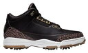 W[_ Y 26.5cm StV[Y Jordan 3 Retro Golf -Brown