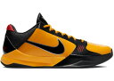 iCL Y 29.0cm R[r[5vg obV Nike Kobe 5 Protro - Bruce Lee