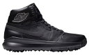 W[_ Y 29.0cm StV[Y Jordan 1 Retro Golf - Triple Black