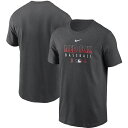 iCL Y TVc Boston Red Sox Nike Authentic Collection Team Performance T-Shirt  Gray