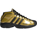 AfB_X Y vf2 adidas Pro Model 2G obV Gold/Black