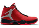 W[_ Y 29 Jordan XX9 