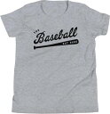 x[X{[obguU[Y LbY TVc Baseball Bat Bros Youth T-Shirt - Grey