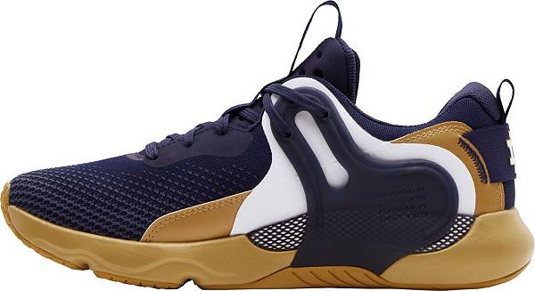 アンダーアーマー メンズ トレーニングシューズ Under Armour Men's HOVR Apex 3 Notre Dame Training Shoes - Navy/Gold