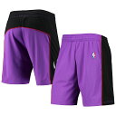 ミッチェルアンドネス メンズ バスパン ハーフパンツ ラプターズ Toronto Raptors Mitchell & Ness Hardwood Classics Primary Logo Swingman Shorts - Purple(4)