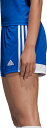 AfB_X fB[X TbJ[ V[c adidas Women's Tastigo 19 Soccer Shorts - Bold Blue/White