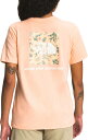 m[XtFCX fB[X TVc  The North Face Women's Short Sleeve Box NSE T-Shirt - Apricot Ice
