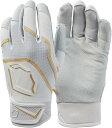 G{V[h LbY obeBOO[u EvoShield Youth Khaos Batting Gloves - Team White