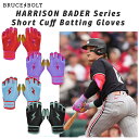 ブルースボルト バッティンググローブ ベイダーモデル ショート 野球 バッティング手袋 両手用 メンズ 一般 高校野球 スポーツ Baseball gloves...