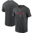 iCL Y TVc Cleveland Indians Nike Authentic Collection Team Performance T-Shirt  Gray
