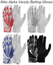 バッティンググローブ ナイキ 野球 両手用 メンズ 一般 スポーツ Baseball gloves 左手 右手 アルファ バーシティ Nike Alpha Va...