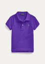 t[ 2-6X K[Y/LbY Polo Ralph Lauren Cotton Mesh Polo Shirt |Vc  Chalet Purple ̎q