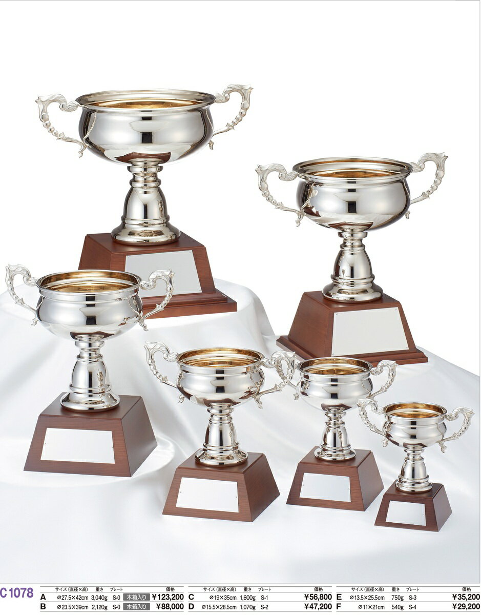 マスターズカップ C1078D/S-2