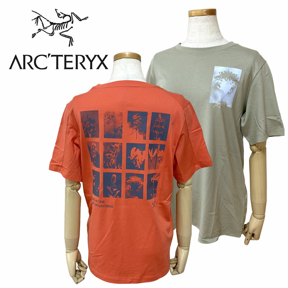 楽天市場】アークテリクス Tシャツ（サイズ（S/M/L）M）（レディース