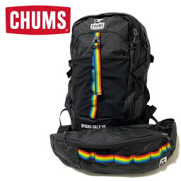 チャムス リュック（レディース） 【SALE】 CHUMS チャムス Spring Dale 25L スプリングデール25リットル CH60-3548