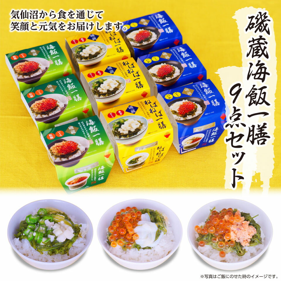 ＼着後レビューで割引クーポン贈呈／最高のご飯のお供！【磯蔵 海飯一膳9点セット】ねばねば めかぶ いか いくら めかぶ 紅鮭 珍味 いかさし 明太子 刺身 いか 松前 ギフト 詰め合わせ 惣菜 宮城 贈答 家飲み つまみ 晩酌 朝ごはん 買い回り 39ショップ お買い物マラソン