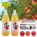 \着後レビューで割引クーポン贈呈/完熟りんごがすっきり甘い【果汁100% ストレート 田舎りんごジュース 2本】農家直送 直送 宮城 角田市 国産 完熟 りんご リンゴ ジュース サンふじ 健康食品 ギフト お取り寄せ 詰め合せ 特産品 お買い物マラソン 買い回り