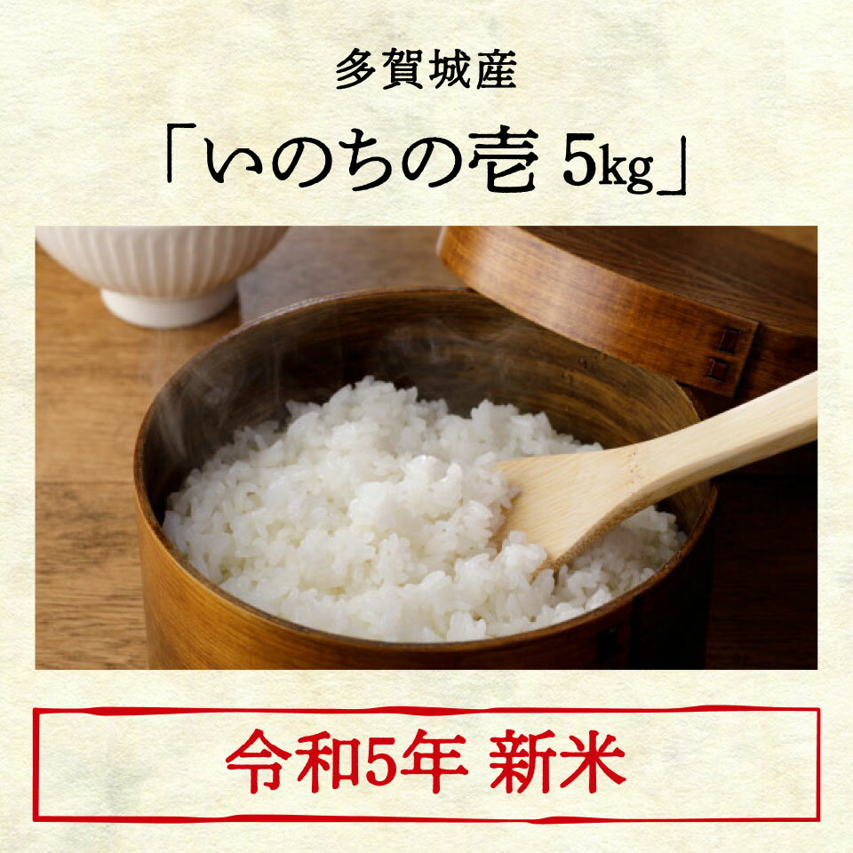 ＼着後レビューで割引クーポン贈呈/令和5年 「い...の商品画像