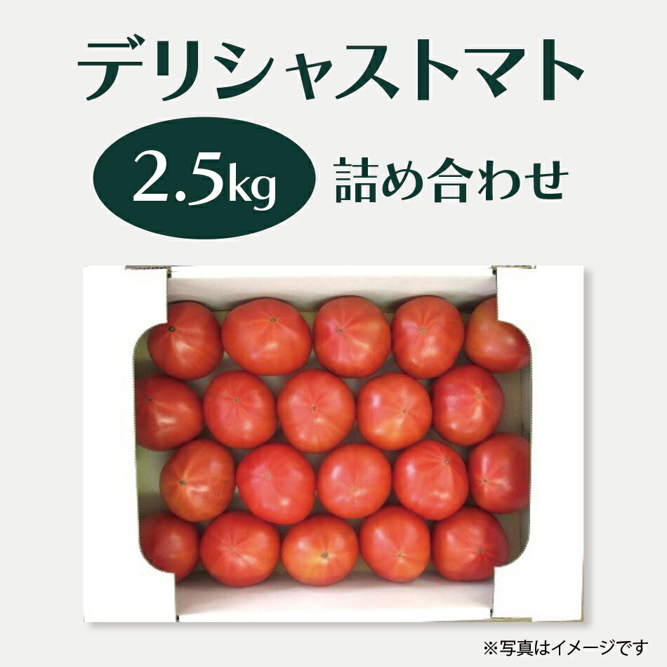 ＼着後レビューで割引クーポン贈呈／糖度7～9度の甘いトマト 【デリシャストマト2.5kg詰め合わせ】 デリシャストマト まるでフルーツ フレッシュトマト 2.5kg 玉光トマト デリシャスファーム …