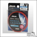 ڤ󤻡ۥ衼ʥAPPLAUDSALTMAXSHOCK LEADERХ롡ե12lbˡ30m