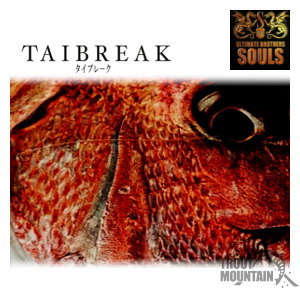 楽天トラウトマウンテン　楽天市場店【送料無料】【お取り寄せ】ソウルズタイブレーク　SF-TB60LC　（ベイト）（タイブレイク）（TAIBREAK）【大型宅配便】