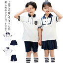 プリーツスカート 女の子 半袖Tシャツ ショートパンツ 子供服 ショートパンツ 男の子 2点セット フォーマル 可愛い 通学 通園 入学式 セットアップ