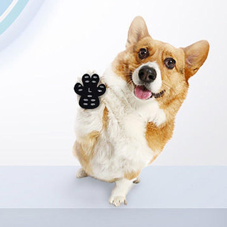 肉球保護 売り切れ必至 4枚セット ペット用品 犬用足パット 犬 シール 小型中型大型フットパッド 滑らない フットパット 保護シール 足パット 小物 靴下 ドック用品 アクセサリー ドッグダンス ペット用靴下 靴 老犬