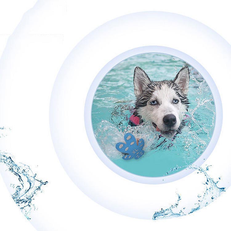 ����­�ѥå� 4�祻�å� �� ������ �����淿�緿�եåȥѥå� �����ݸ� ���ʤ� �եåȥѥå� �ݸ���� �ɥå����� �ڥå��ѷ��� ­�ѥå� �� �� ���� �ڥå����� �ɥå����� Ϸ�� ��ʪ ���������꡼