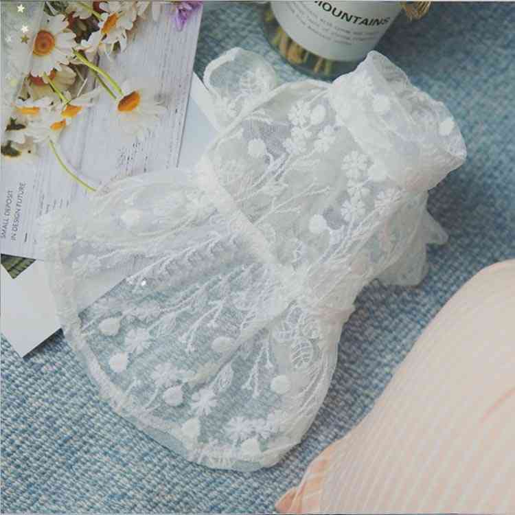 ����̵�� �졼�� ���ԡ��� ������ ���� �ɥ쥹 ���襤�� �� �졼�� ���λ� �뺧�� �ѡ��ƥ��� �����ǥ��󥰥ɥ쥹 �衼���� ���å����ե�� ����� �ե����ޥ� �ȥ��ס��ɥ� �ޥ������ ���� ����ʥ������ʤ� �ڥå� ��