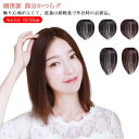 女性 ウィッグ 自然 白髪かくし 25cm 送料無料 部分ウィッグ レディース ポイントウィッグ 人毛 つけ毛 トップカバー ふんわり 15cm つむじ付き 白...