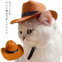 カウボーイ ハット ペット用 帽子 犬用 猫用 テンガロンハット フェルト ハット ワンちゃん帽子 ねこ 帽子 つば広 ペットハット ウエスタンハット 犬服 猫...