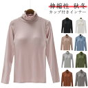 カップ付き ブラトップ インナー レディース カップ付きインナー タートルネック ハイネック 大きいサイズ カットソー Tシャツ 肌着 部屋着 アンダーウエア ストレッチ 伸縮性 締め付けない シンプル 無地 女性 春 秋 冬(4)